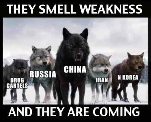 15:10:02 GMT-0500 (EST).image