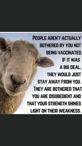 18:42:06 GMT-0500 (EST).image