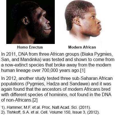 infographic_about_monkeys_and_african_dna