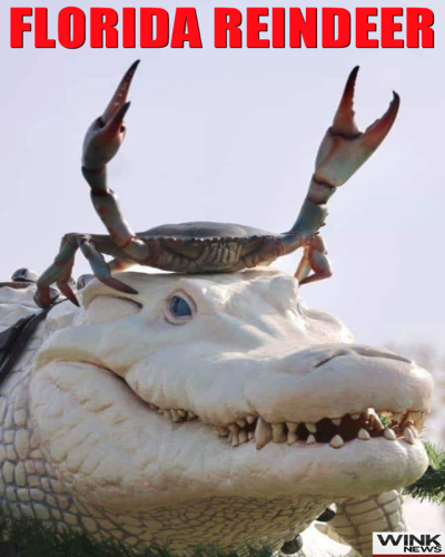 263472338_4606817752735321_3645818098718901970_n