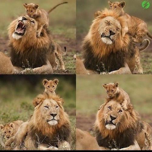 266375227_474216990748646_3707020961711124979_n