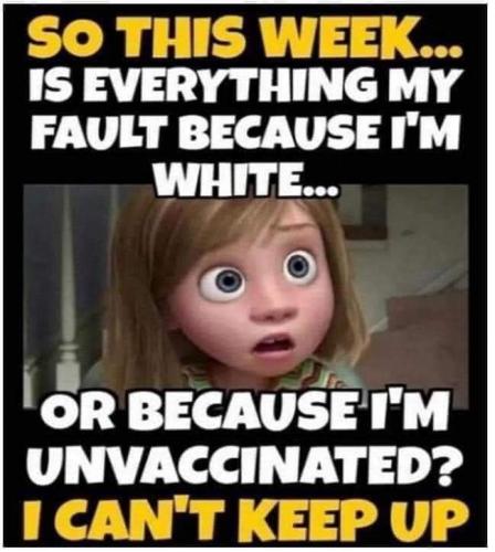 image_1639810328.955