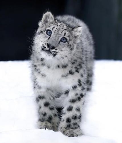 268272717_475490273954651_1047552607440266284_n