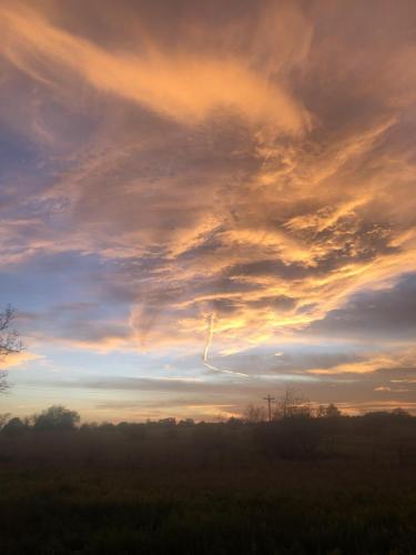 3A6CC656-DBED-4401-8DDC-D5028F346C39