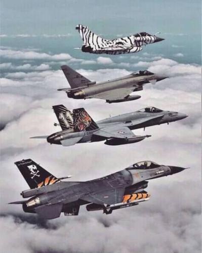 265740004_446104470358778_8382903540775209002_n