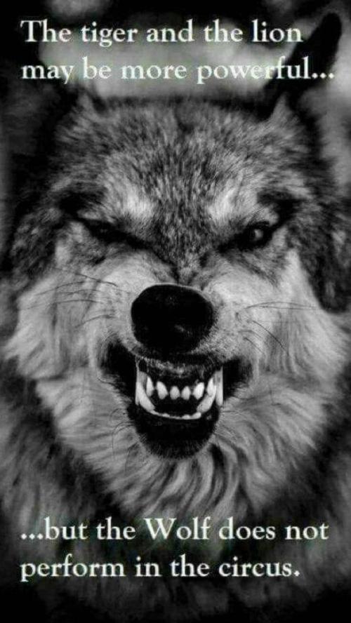 Be_Like_the_Wolf-3ec7e8d6-28b6-34bf-b27a-72224e61ca7e