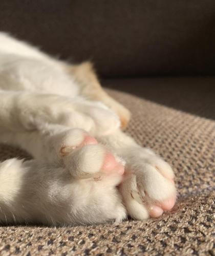 7E97DB9B-1C75-4EEC-94F2-E6614AA9E302