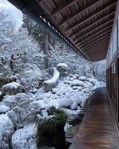 268046478_458678335628174_6700292982855515771_n