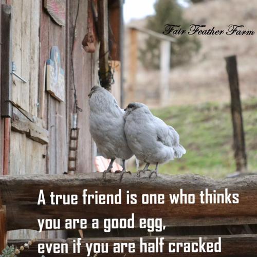 12439265_10153476111242293_7806367128433178813_n