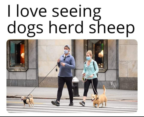 Screenshot_20211224-015756-465