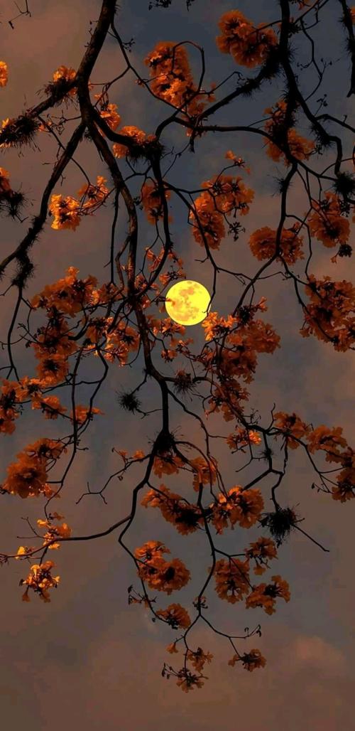 23:13:02 GMT+0100 (WAT)