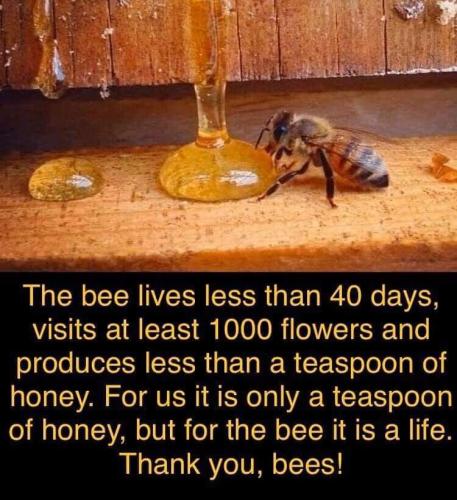 260099247_5012126725477652_5362113816040449729_n