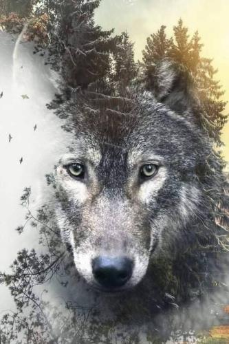 tumblr_6943f9471fbefeabdedecaa89469ce22_22f81906_540