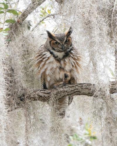 tumblr_19e66c201479c785dfe06640aeea4d3d_e3a75361_540