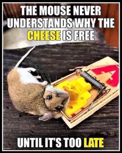 23:56:18 GMT-0600 (CST)