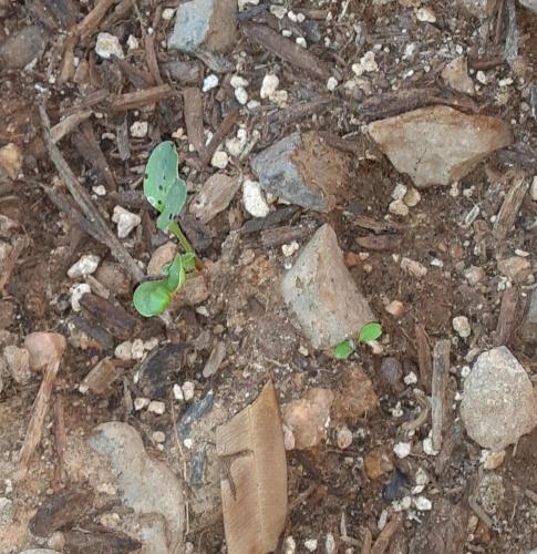 17:07:04 GMT-0700 (MST)