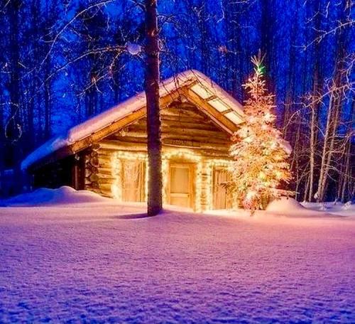 262994664_2077713242402811_2367401721044638908_n