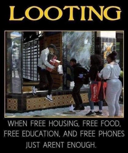 looting05