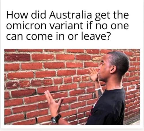 FB_IMG_1639325267065