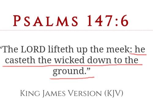 Screenshot_20211213-174319_DuckDuckGo