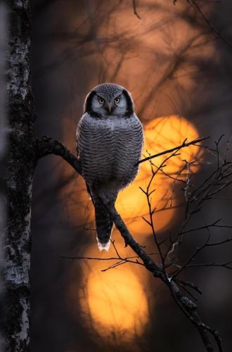 tumblr_180751e833171b86b5640309d75fb665_cbc9f96a_640