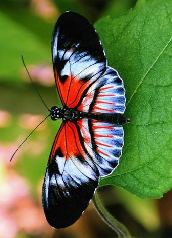 11:28:57 GMT-0600 (CST)