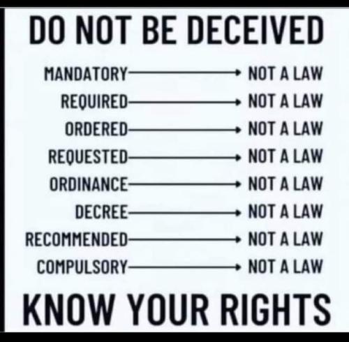 FB_IMG_1639182647312