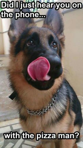 18:15:56 GMT-0600 (CST)