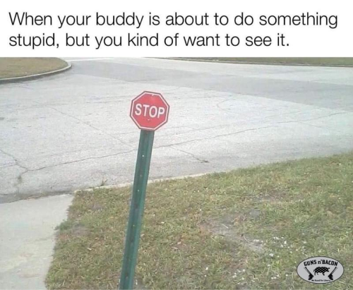 img.png 7646n
