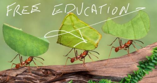 Screenshot_20211221-063440_DuckDuckGo