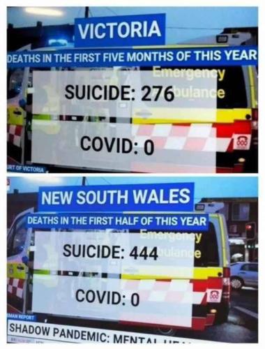 photo_2021-12-05_11-54-06