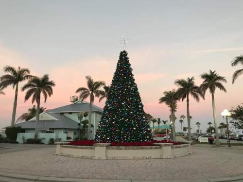 FB_IMG_1640098310175