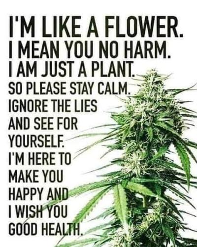 IMG_20210219_191110_580