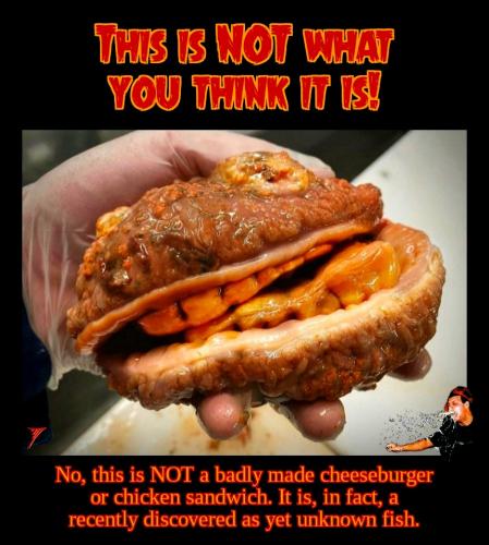 Comedy - Cheeseburger With Teeth