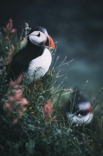 tumblr_5d1bf22e4bfbee6137640d23e3050143_31bfd43e_540