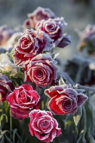 18:32:31 GMT-0600 (CST)