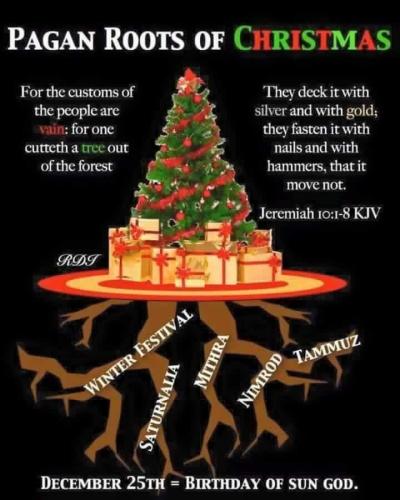 IMG_20211224_113554_197