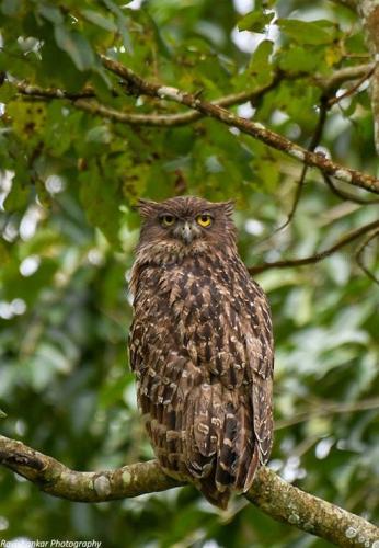 270222280_4858313734211725_469100590169920735_n