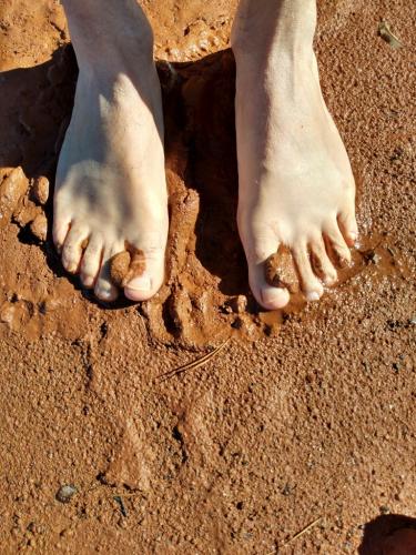 signal-2021-11-27-20-35-01-000