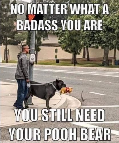 MaxthonSnap20211220180020