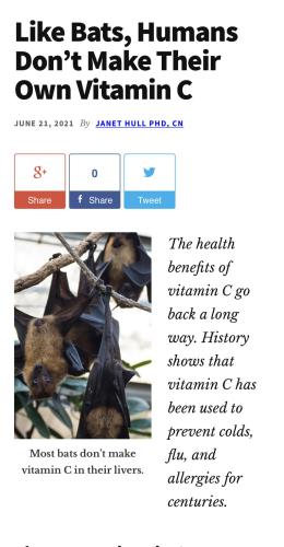 11:21:59 GMT-0600 (CST).image