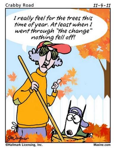 FB_IMG_1633095584889