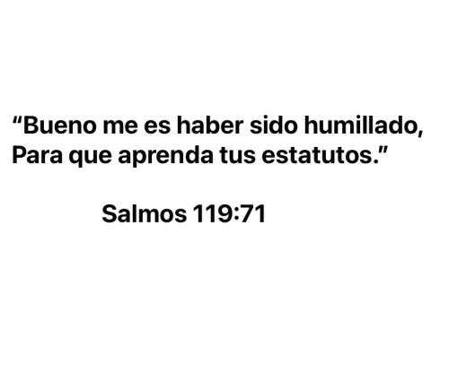 FB68391A-802D-421F-A7D2-354644F332B5