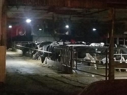 16:12:06 GMT-0500 (EST)