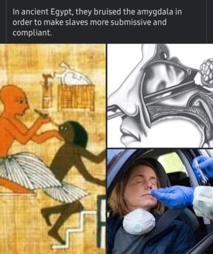 74758a78f72639fe