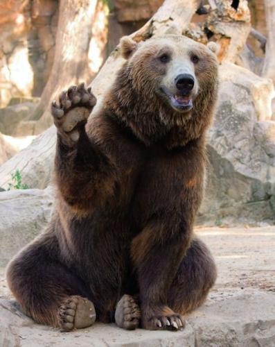 10:22:31 GMT-0600 (CST)