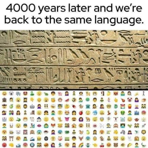 FB_IMG_1639137524640