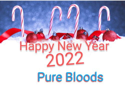 Screenshot_2021-12-30-22-44-28(1)~2