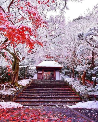 262458016_447544286741579_7082488573407092462_n