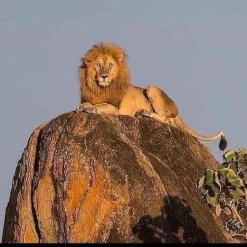 267222038_473621524141526_2753325019155568465_n